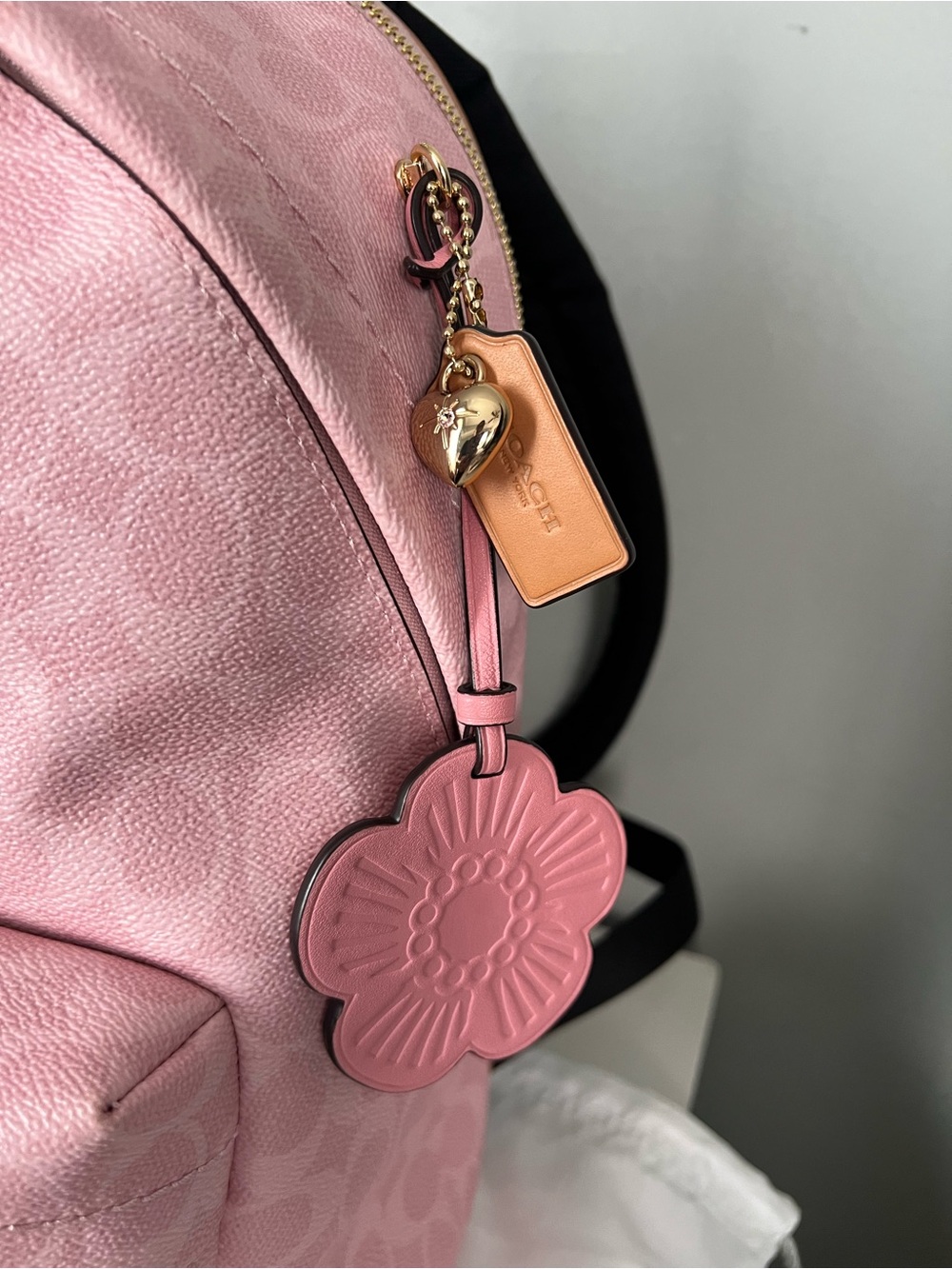 Coach Taylor Backpack In Powder Pink Color - Picture 3 of 13